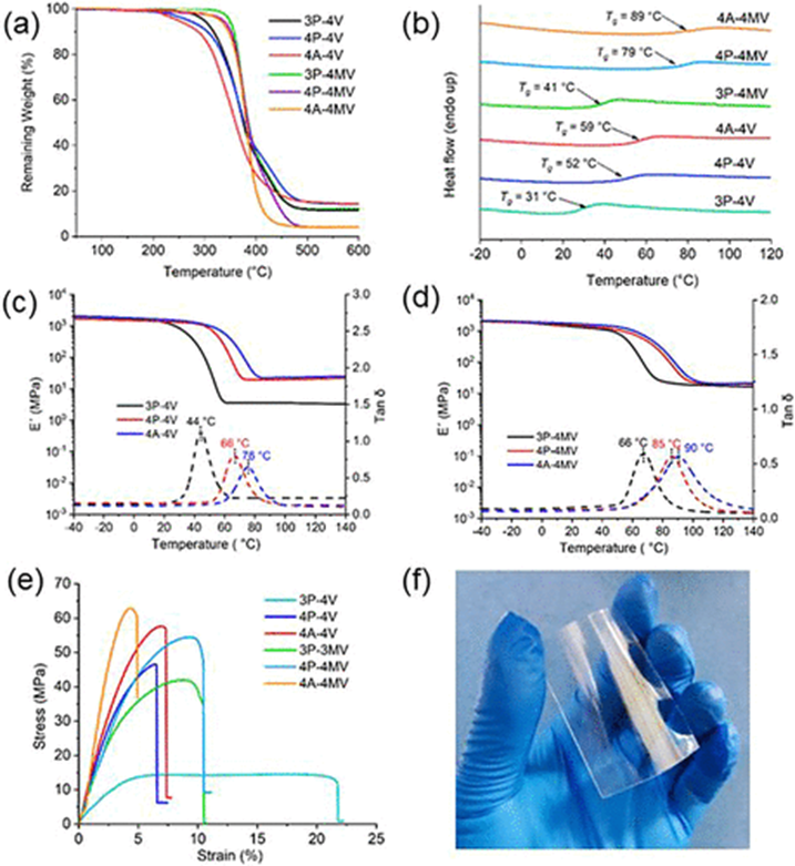 Biobased Thiol-ene Networks