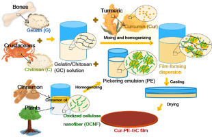 A recyclable biomass film that can adapt to day and night energy saving