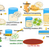 A recyclable biomass film that can adapt to day and night energy saving