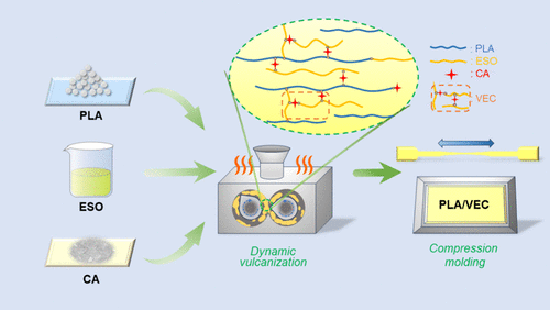 Toughening Polylactic Acid