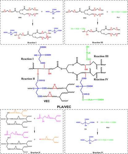 Toughening Polylactic Acid