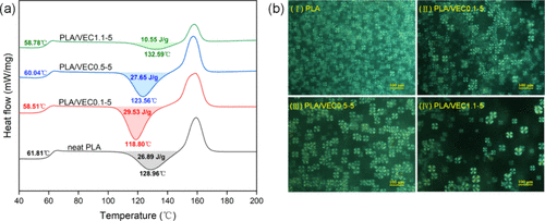 Toughening Polylactic Acid