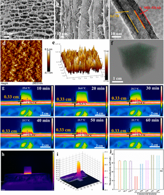 Lignocellulosic aerogel