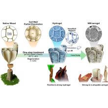 Preparation and Application of Eco-Friendly Tourmaline@MOF Lignocellulose Aerogel for Fire Retardancy, Smoke Suppression, and Insulation