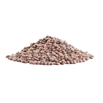 PolyAdds Antioxidant Newantox HS/LG(2222) 26780-96-1