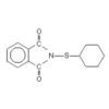 PolyAdds E/C