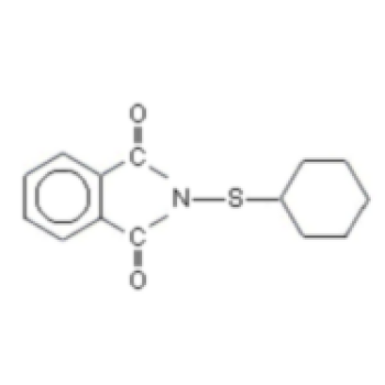 PolyAdds E/C
