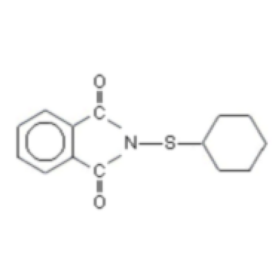 PolyAdds E/C