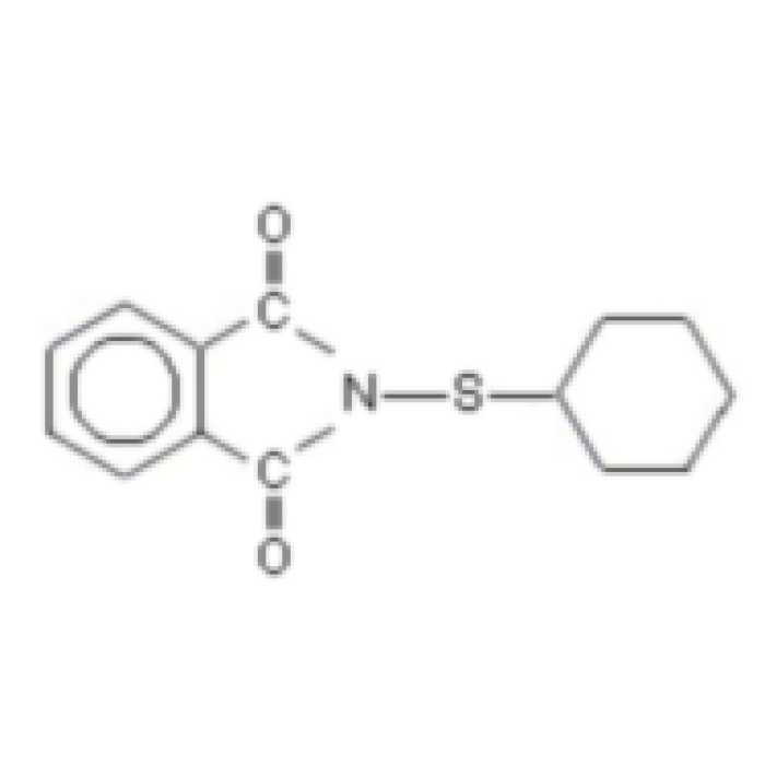 PolyAdds E/C