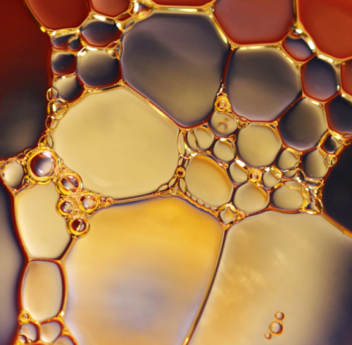 Study on Toughening Polylactic Acid with Dynamically Crosslinked Epoxidized Soybean Oil Cured Network