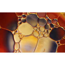 Study on Toughening Polylactic Acid with Dynamically Crosslinked Epoxidized Soybean Oil Cured Network