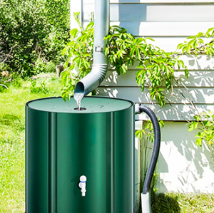 250L Portable Rain Barrel - Eco-Friendly Water Storage Solution | Wholesale OEM & ODM Available for Distributors and Importers | Perfect for Sustainable Gardening Practices