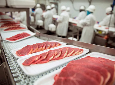 Applications of Stainless Steel Plastic Cutting Boards