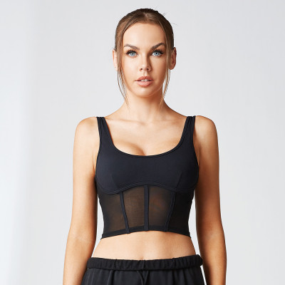Womens Padded Sports Bra | Spandex Workout Top | Wholesale Price | OEM
