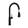 Pull-Down Kitchen Faucet|Pull Down Kitchen Tap