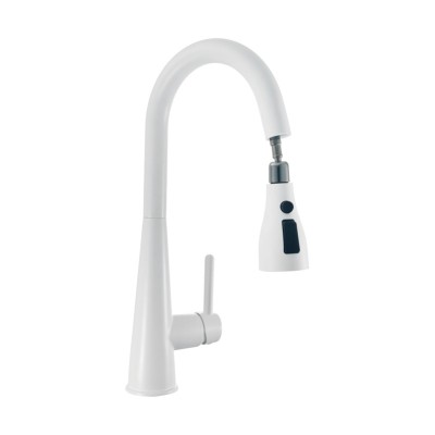 304 Stainless Steel Kitchen Faucets | SS304 Single-Handle Kitchen Faucet | Pull-Down Kitchen Faucet