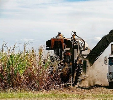 Sugar Mill Chain