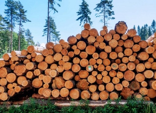 Forestry Supply Chains