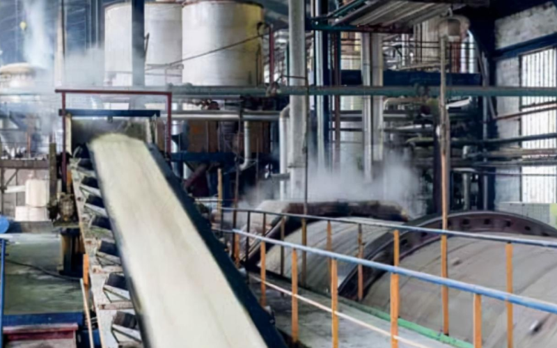 Understanding the Sugar Production Process