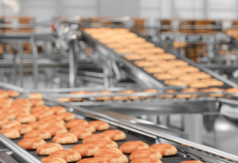 Food Processing & Packaging