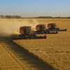 CamelConvey Hot-Selling Chains for Agricultural Conveyors