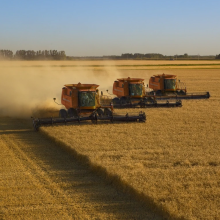 CamelConvey Hot-Selling Chains for Agricultural Conveyors