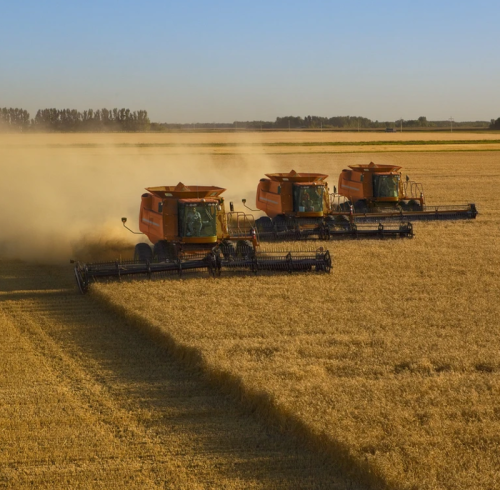 Correntes CamelConvey mais vendidas para transportadores agrícolas