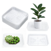Customizable Plant Saucers | Clear Plastic Plant Saucers Flower Pot Tray Excellent for Indoor & Outdoor Plants