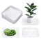 Customizable Plant Saucers | Clear Plastic Plant Saucers Flower Pot Tray Excellent for Indoor & Outdoor Plants