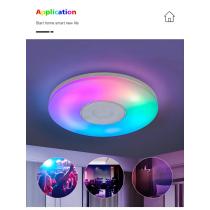 MX-CBXD-R380 Ultra-thin Modern Round Light Fixture RGB 48W Smart Ceiling LED Lighting