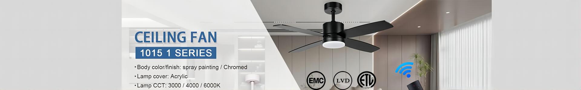 Ceiling fan LIght factory