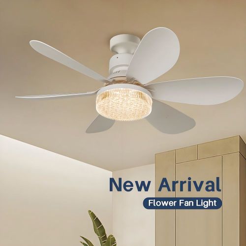 MX--6YHX-R520-B-SJ  Factory Price E27 Crystal Cover Dimmable Timming 2 in 1 Flower Fan Light