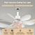 MX--6YHX-R520-B-SJ  Factory Price E27 Crystal Cover Dimmable Timming 2 in 1 Flower Fan Light