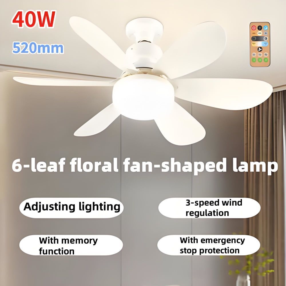 Ceiling fan with light 