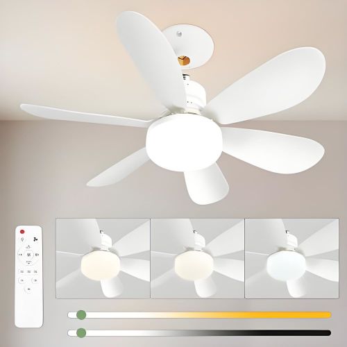 MX--6HX-R520-A-SJ  Factory Price E27 White Cover Dimmable Timming 2 in 1 Ceiling Flower Fan Light