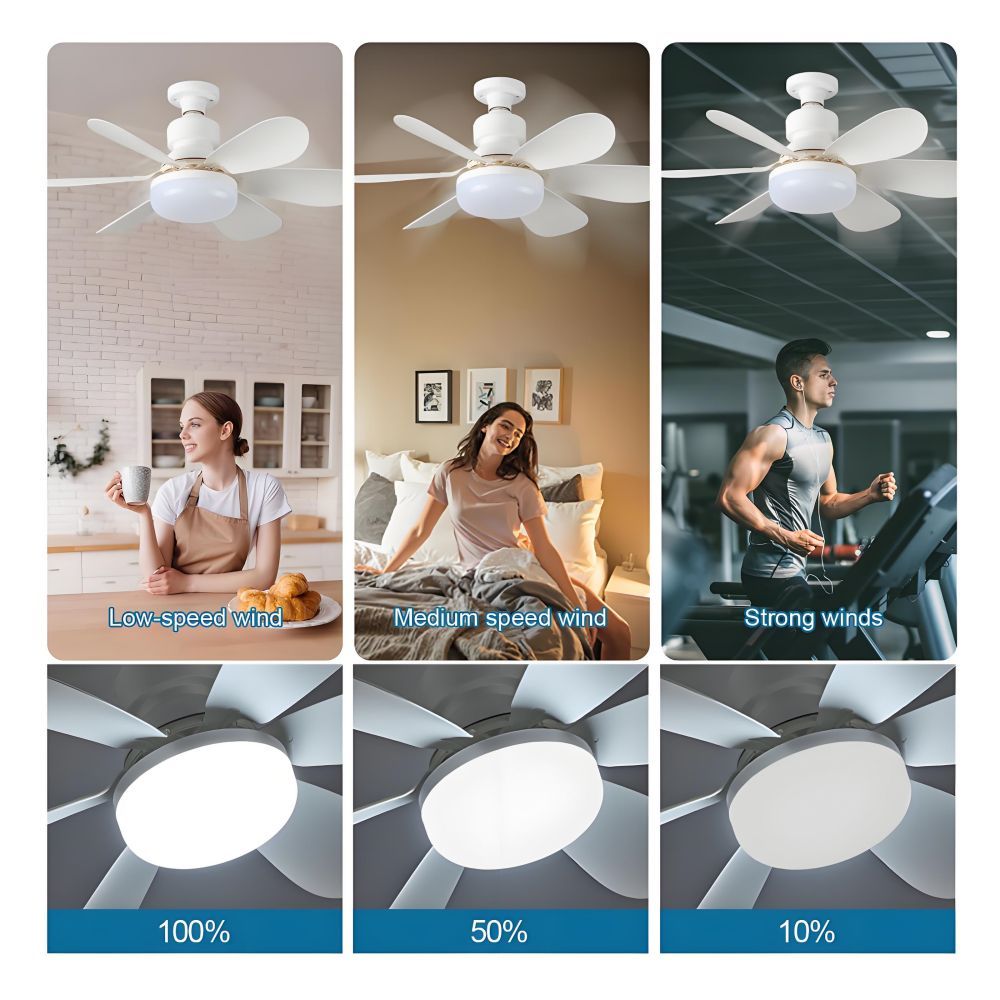 E26 27 socket ceiling flower fan light 