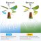 MX-KB02 Little Bear Kids Room Eye Protection Dimmable 33 Inches Children Ceiling Fan with Light