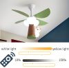 What factors are driving the growth of the Ceiling Fan Light industry?