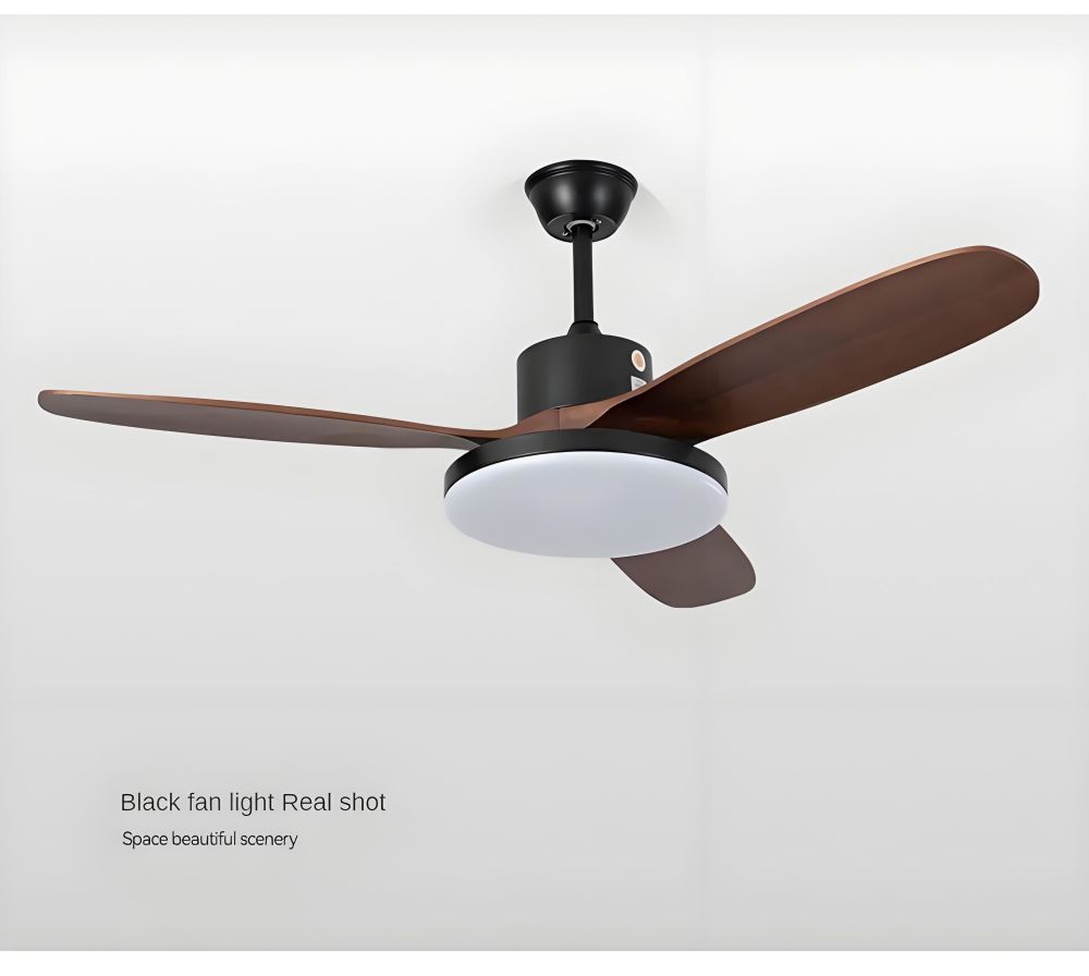 ceiling fan light