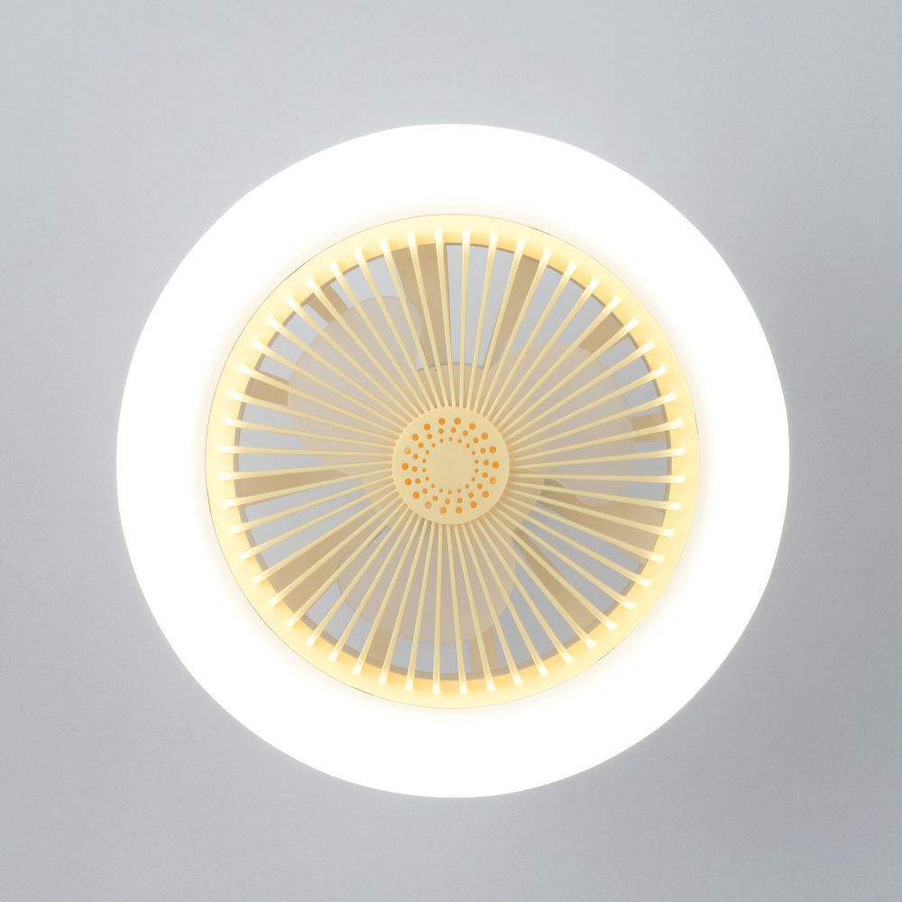 kicten ceiling fan light