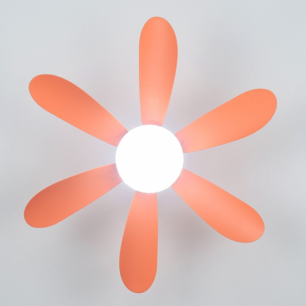 Orange Flower Fan Light