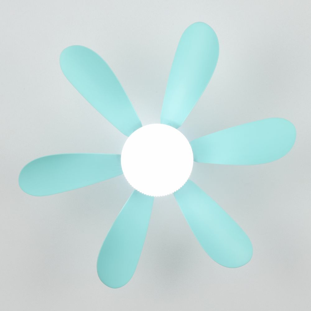 Blue flower fan light