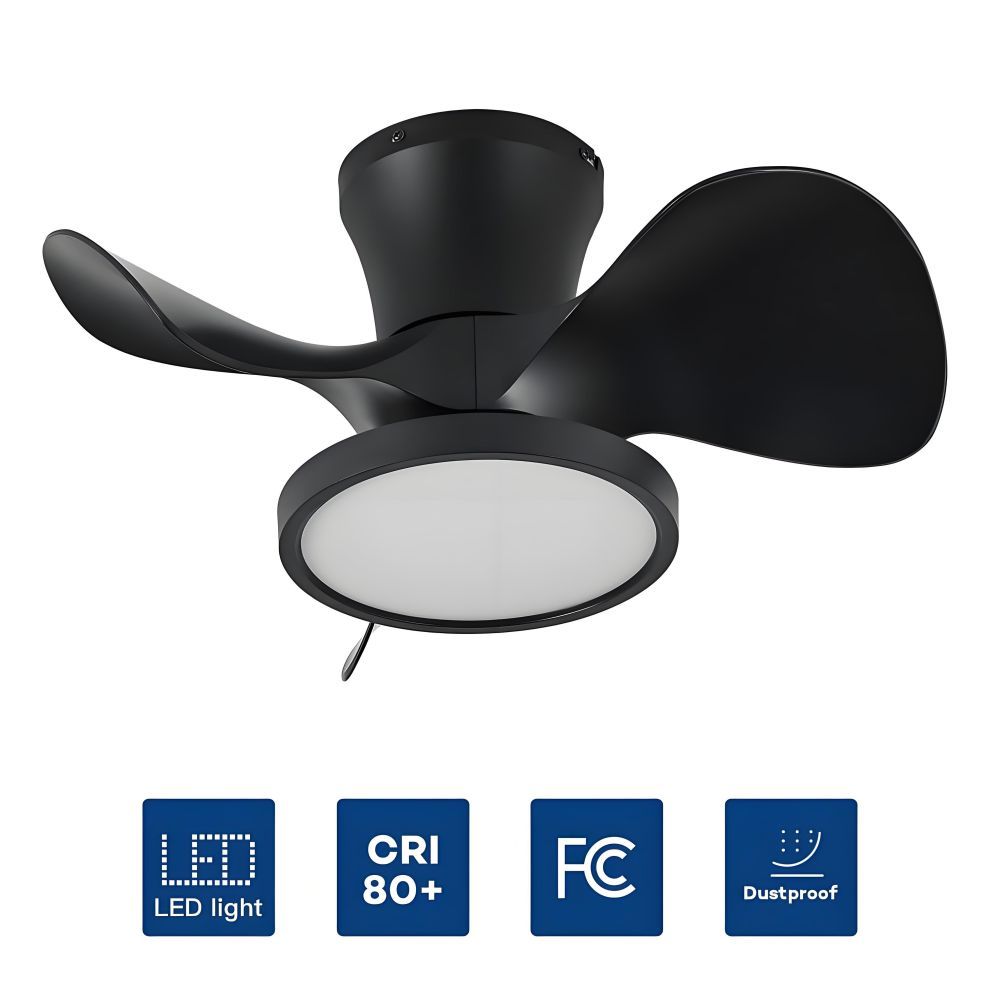 Black ceiling fan with light 