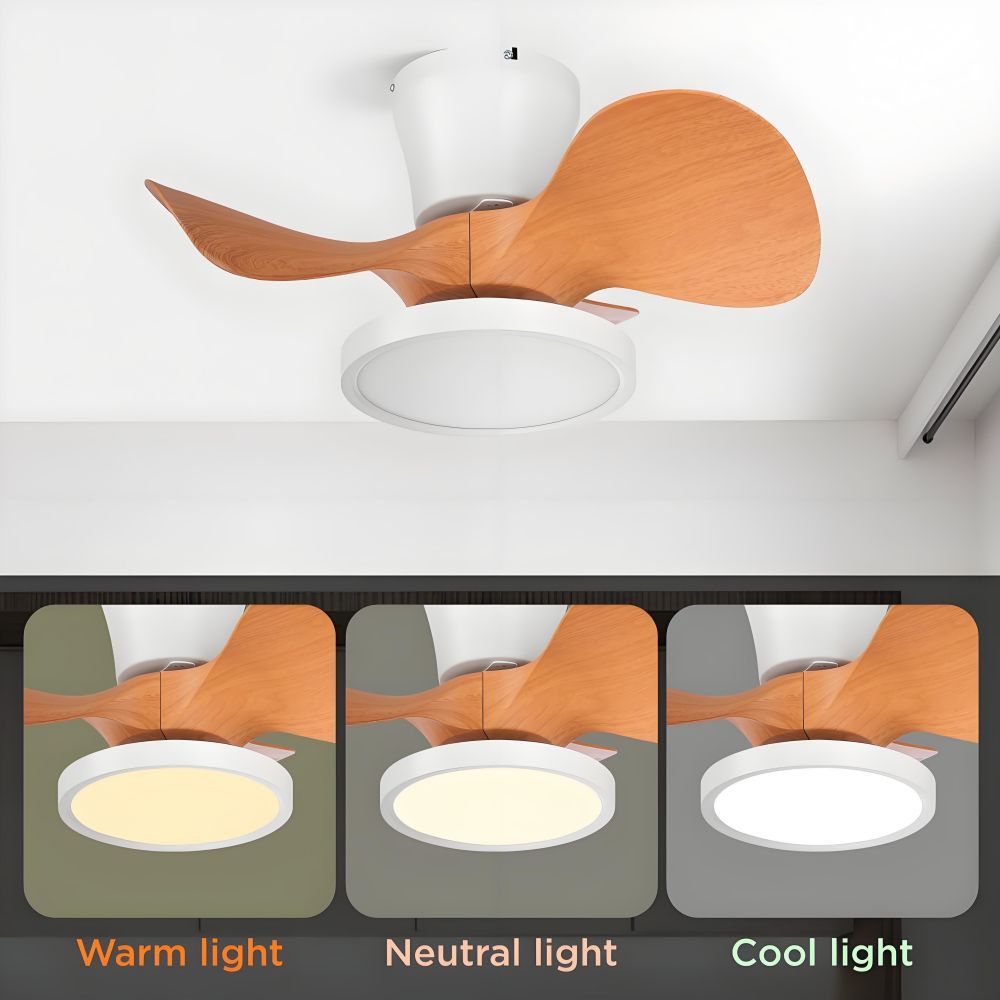 CEILING FAN LIGHT