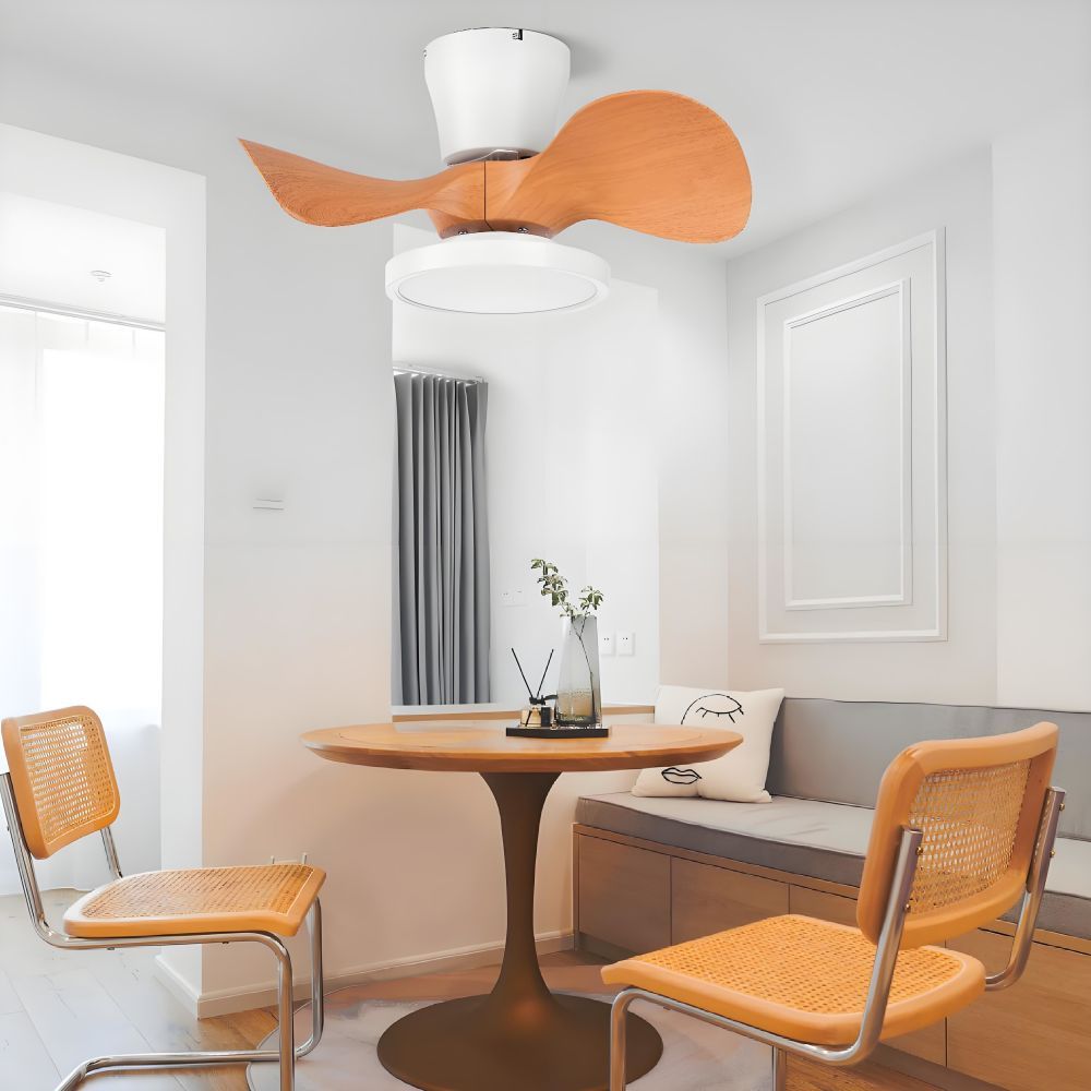 E27 ceiling fan with light