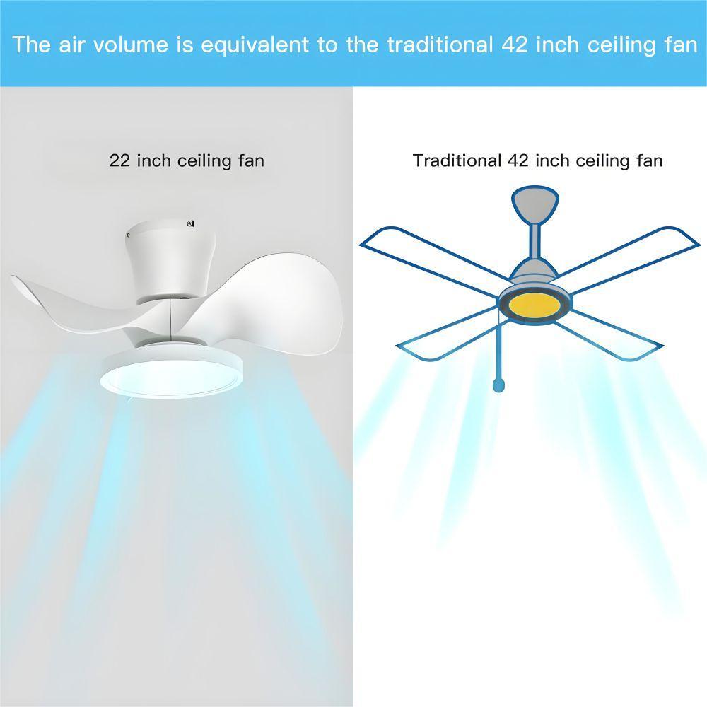 Ceiling fan light from Max Fan Light Co., Ltd