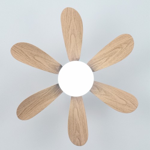 MX--6YHX-R520-B-SJ  Factory Price E27 Crystal Cover Dimmable Timming 2 in 1 Flower Fan Light