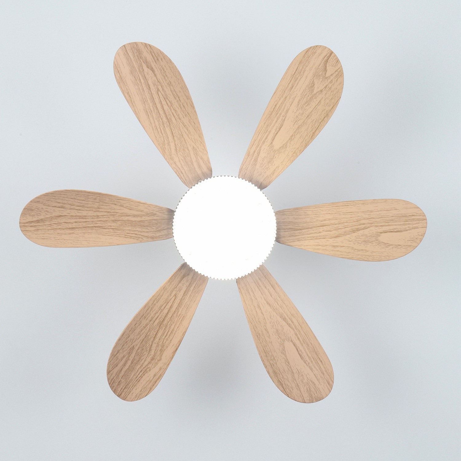 flower fan light