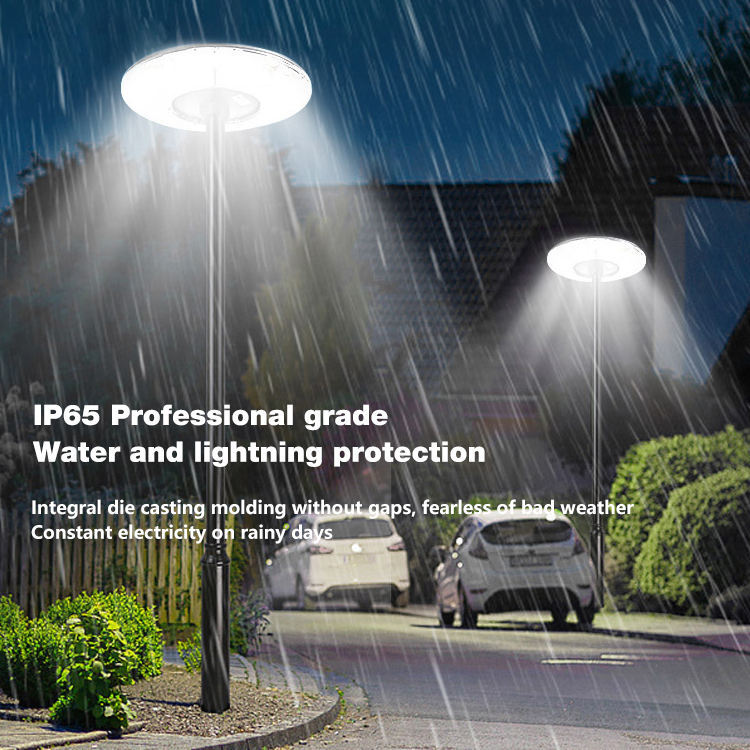 IP65 Professional Grade Solar Street Light from Fanlight.net