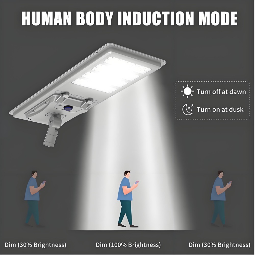 Solar Street Light 